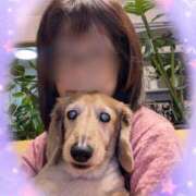 ヒメ日記 2025/10/18 03:42 投稿 木原るり 松戸人妻花壇