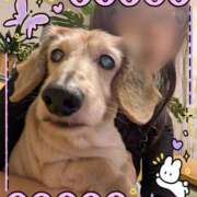 ヒメ日記 2025/10/20 11:35 投稿 木原るり 松戸人妻花壇