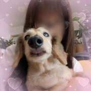 ヒメ日記 2025/11/01 11:42 投稿 木原るり 松戸人妻花壇