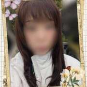 ヒメ日記 2025/11/13 09:46 投稿 木原るり 松戸人妻花壇