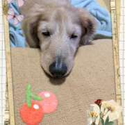 ヒメ日記 2025/11/14 09:57 投稿 木原るり 松戸人妻花壇