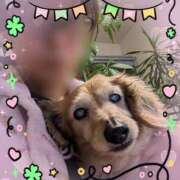 ヒメ日記 2026/02/10 09:52 投稿 木原るり 松戸人妻花壇