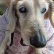 ヒメ日記 2026/03/08 07:59 投稿 木原るり 松戸人妻花壇