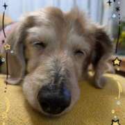 ヒメ日記 2026/03/12 19:19 投稿 木原るり 松戸人妻花壇