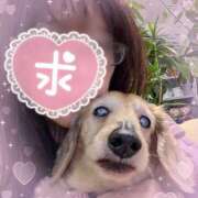 ヒメ日記 2026/03/30 18:21 投稿 木原るり 松戸人妻花壇