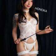 ヒメ日記 2025/09/12 20:41 投稿 ほのか C.C.CATS