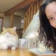 ヒメ日記 2026/07/03 12:42 投稿 ほのか CCキャッツ