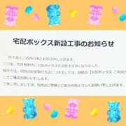 ヒメ日記 2024/03/10 02:22 投稿 こまち 三重松阪ちゃんこ