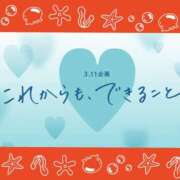 ヒメ日記 2024/03/11 18:02 投稿 こまち 三重松阪ちゃんこ