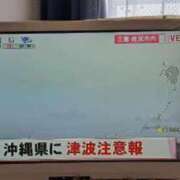 ヒメ日記 2024/04/03 11:31 投稿 こまち 三重松阪ちゃんこ