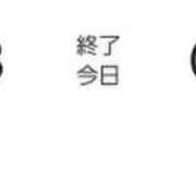 ヒメ日記 2024/04/21 17:46 投稿 こまち 三重松阪ちゃんこ