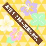 ヒメ日記 2024/08/12 10:56 投稿 こまち 三重松阪ちゃんこ