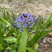 ヒメ日記 2025/11/15 13:48 投稿 あんな タレント倶楽部アダルト