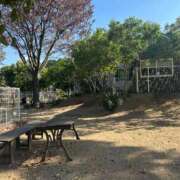 ヒメ日記 2025/11/17 14:26 投稿 あんな タレント倶楽部アダルト