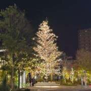 ヒメ日記 2025/12/09 21:46 投稿 あんな タレント倶楽部アダルト