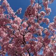 ヒメ日記 2026/03/17 18:34 投稿 あんな タレント倶楽部アダルト