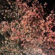 あんな 今日も今日とて タレント倶楽部アダルト