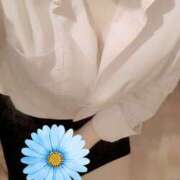 ヒメ日記 2024/12/11 10:33 投稿 ゆみこ ラッシュアワー