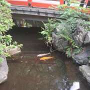 ヒメ日記 2025/10/16 21:30 投稿 ゆみこ ラッシュアワー