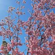 ヒメ日記 2026/03/12 12:35 投稿 ゆみこ ラッシュアワー