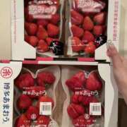 ヒメ日記 2025/03/30 22:30 投稿 みれい ラッシュアワー