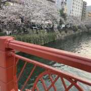 ヒメ日記 2025/04/02 19:58 投稿 みれい ラッシュアワー