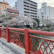 ヒメ日記 2025/04/06 22:45 投稿 みれい ラッシュアワー