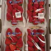 ヒメ日記 2026/02/15 21:53 投稿 みれい ラッシュアワー