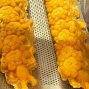 ヒメ日記 2025/07/25 05:25 投稿 ゆみ リッチドールパート2梅田店