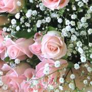 ヒメ日記 2026/01/09 16:34 投稿 さつき 阪神人妻花壇