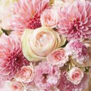 ヒメ日記 2026/02/25 16:51 投稿 さつき 阪神人妻花壇