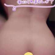 ヒメ日記 2025/04/11 11:50 投稿 はる 阪神人妻花壇