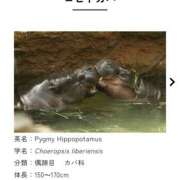 ヒメ日記 2025/12/12 14:21 投稿 はる 阪神人妻花壇