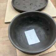 ヒメ日記 2025/12/14 21:58 投稿 さくら 阪神人妻花壇