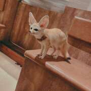 かえで 出勤してます💓 ラッシュアワー