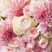 ヒメ日記 2025/10/16 18:55 投稿 さつき 神戸人妻花壇