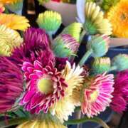 ヒメ日記 2025/03/16 10:31 投稿 はる 神戸人妻花壇