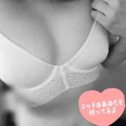 ヒメ日記 2025/04/14 08:37 投稿 はる 神戸人妻花壇