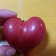 ヒメ日記 2025/06/21 18:12 投稿 はる 神戸人妻花壇