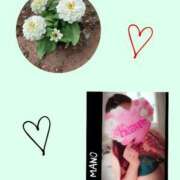 ヒメ日記 2025/06/15 07:12 投稿 真野 熟女妻