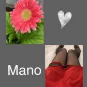 ヒメ日記 2025/06/25 09:28 投稿 真野 熟女妻