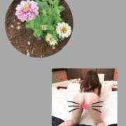 ヒメ日記 2025/07/18 07:06 投稿 真野 熟女妻