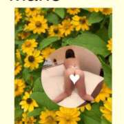 ヒメ日記 2025/08/04 06:27 投稿 真野 熟女妻