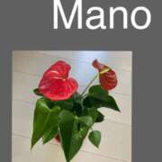 ヒメ日記 2025/08/29 08:55 投稿 真野 熟女妻