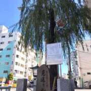 ヒメ日記 2025/01/13 15:51 投稿 松嶋那々 プレジデントクラブ