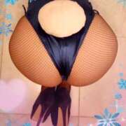 ヒメ日記 2025/02/08 08:58 投稿 松嶋那々 プレジデントクラブ