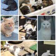 ヒメ日記 2025/02/22 22:23 投稿 松嶋那々 プレジデントクラブ