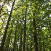 ヒメ日記 2025/05/01 16:03 投稿 松嶋那々 プレジデントクラブ