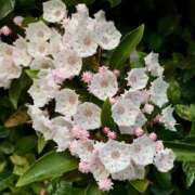 ヒメ日記 2025/05/08 00:11 投稿 松嶋那々 プレジデントクラブ