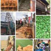 ヒメ日記 2025/05/30 13:25 投稿 松嶋那々 プレジデントクラブ